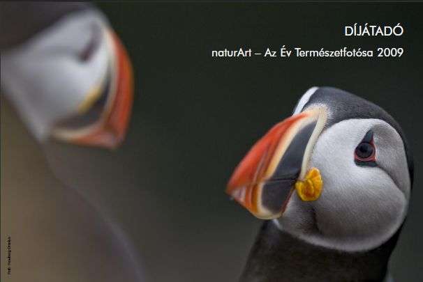 naturArt – Az Év Természetfotósa 2009 – díjátadó és kiállításmegnyitó