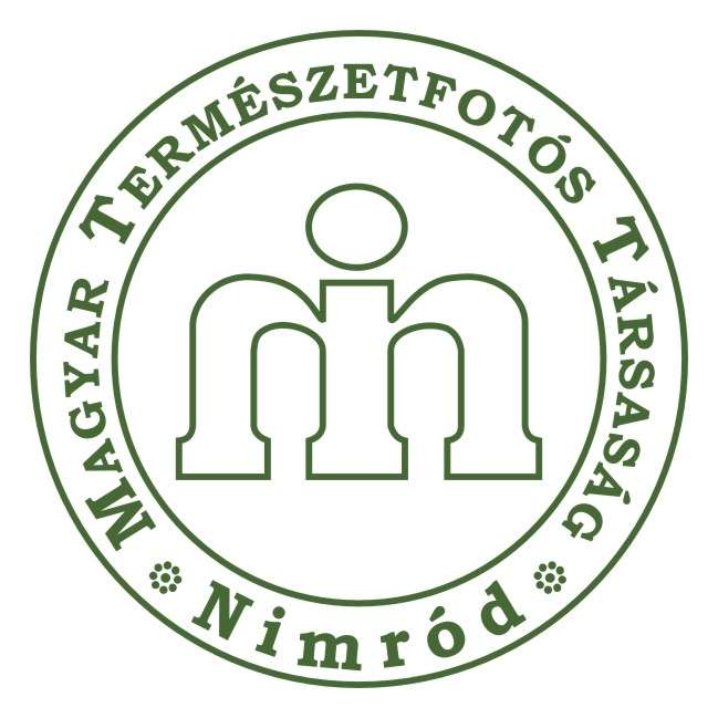 Nimród Fotóklub programja