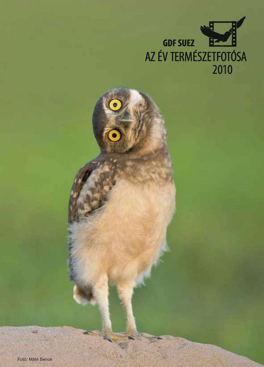 Online közvetítettük: Az Év természetfotója 2010 kiállításmegnyitó és díjátadó ünnepség