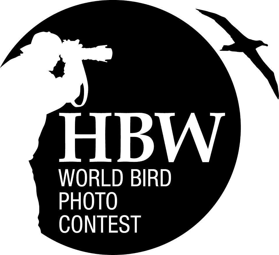 hbw.jpg