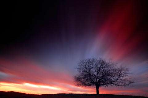 GDF SUEZ – Az Év Természetfotósa 2012 kiállítás