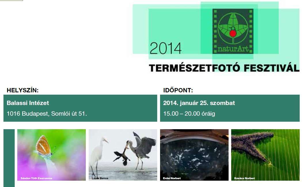 Élőben: naturArt Minifesztivál 2014
