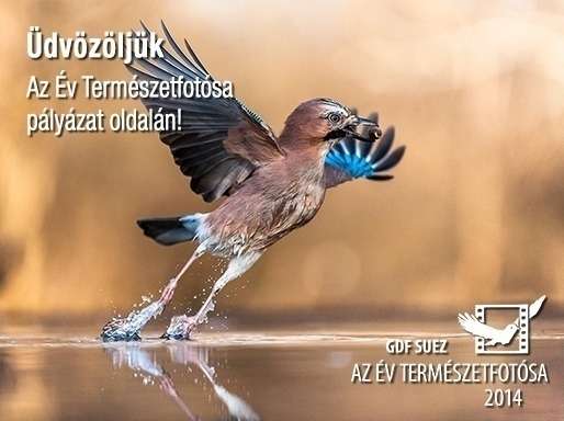 Az Év Természetfotósa 2014 fotópályázat