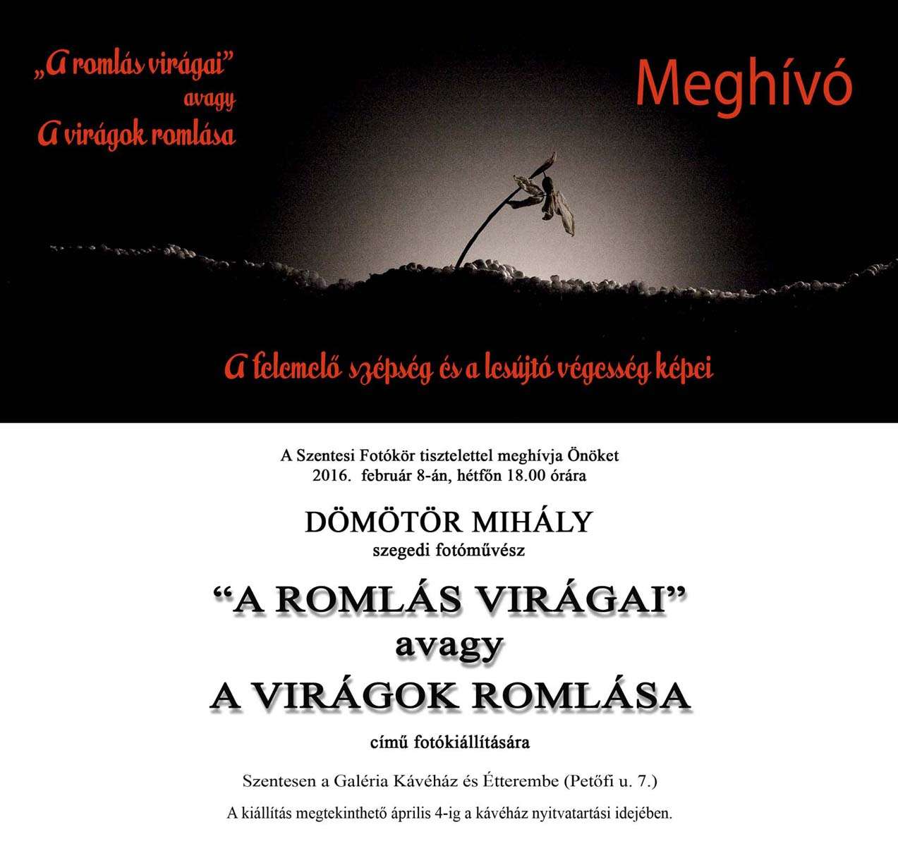 domotor_mihaly_meghivo_szentesre_2016.jpg