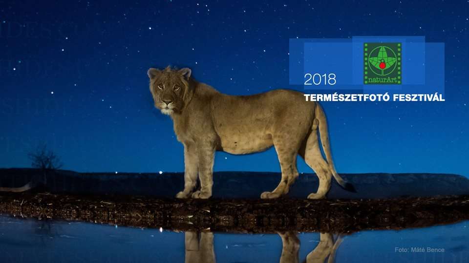 naturArt Természetfotó Fesztivál 2018