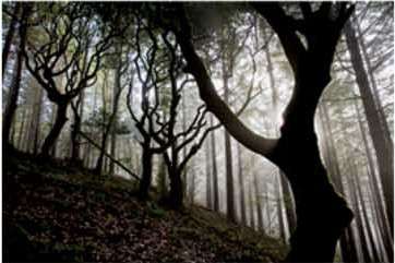 Online közvetítettük: Ingyenes természetfotó előadás – Radisics Milánnal