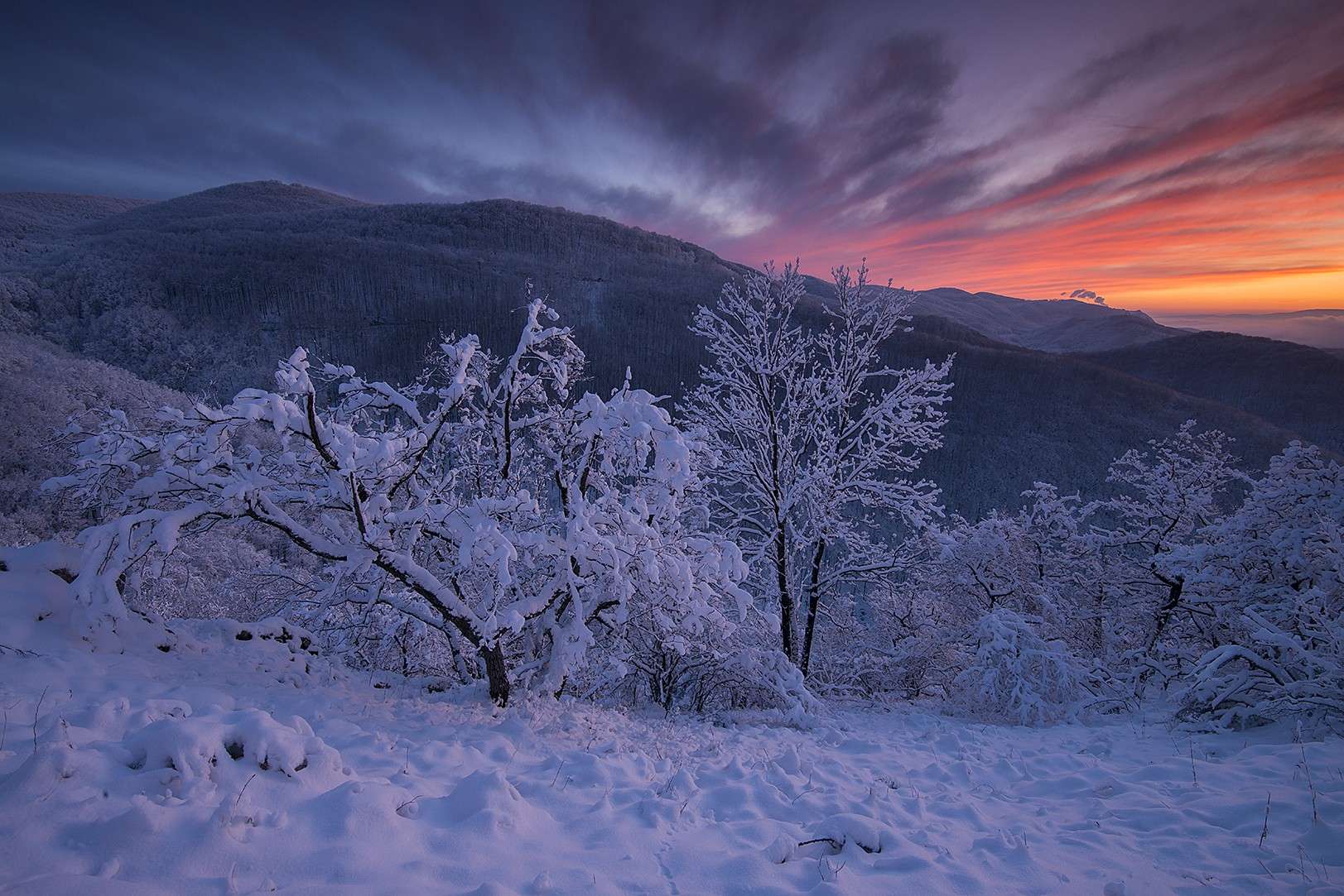 Élőben – Molnár Péter: Magyarország fantasztikus tájai és pillanatai – online előadás